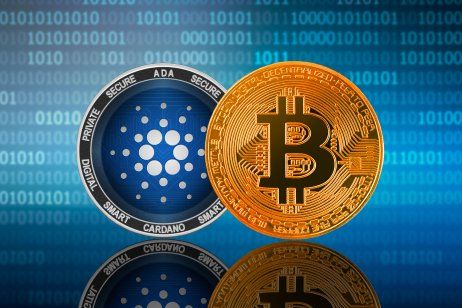 Cardano and Bitcoin Lead Social Media Engagement