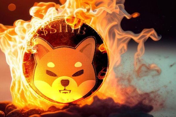Shiba Inu Burn Rate Soars 5,975% Amid Price Jump