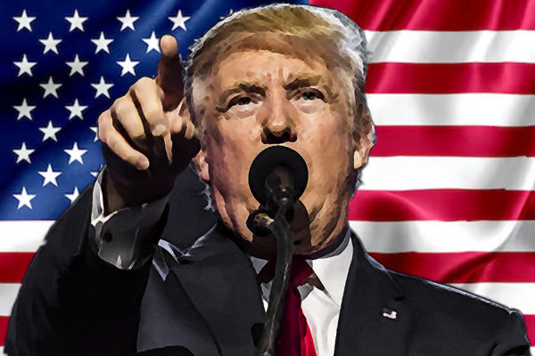 Trump Meme Coin Sparks Crypto Frenzy, Hinting at NFT Boom Revival