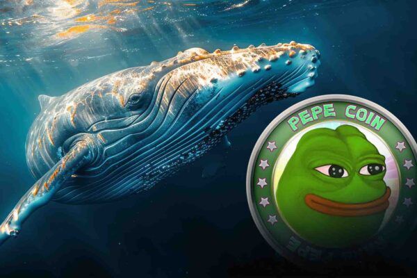Pepe Coin Hits Two-Year Low as Whales Accumulate
