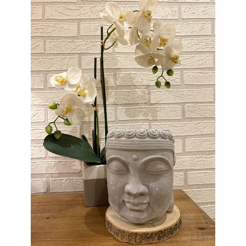 Vela Led Budha