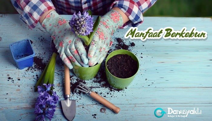 10 Manfaat Berkebun yang Tak Terduga