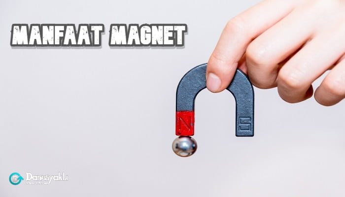 Manfaat Magnet