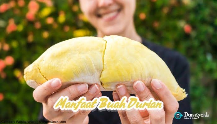 10 Manfaat Buah Durian dan Efek Samping