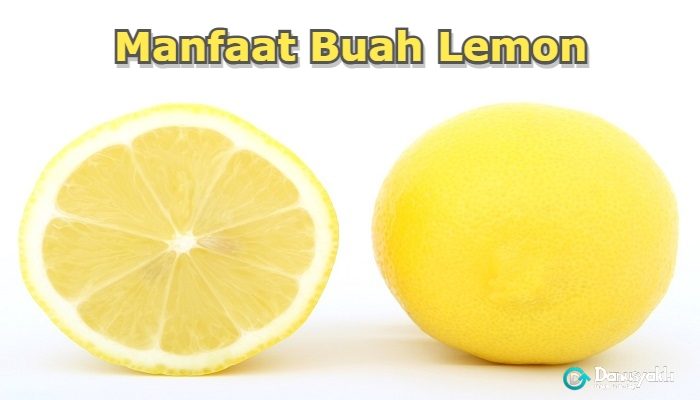 11 Manfaat Buah Lemon dan Efek Samping