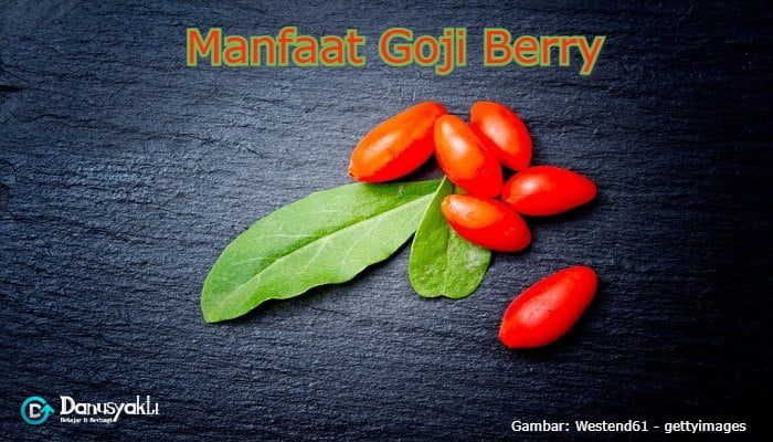 7 Manfaat Goji Berry untuk Kesehatan dan Efek Samping