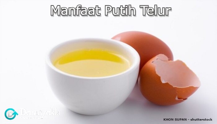 Manfaat Putih Telur