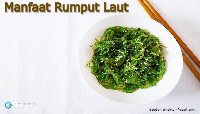 7 Manfaat Rumput Laut dan Efek Samping