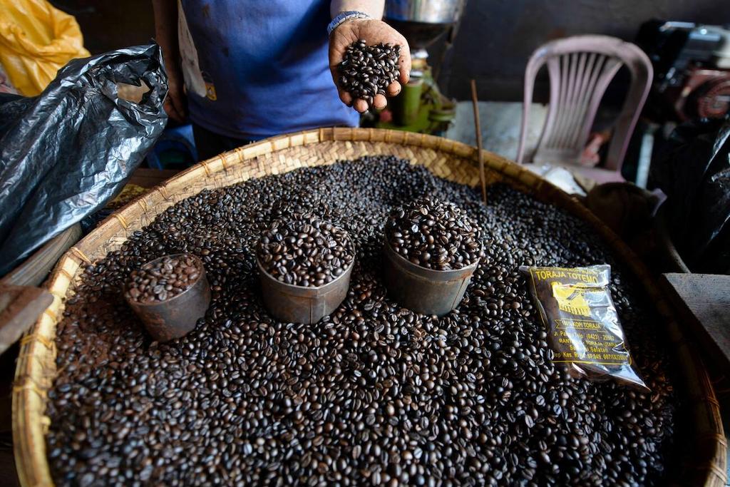 Jenis Kopi di Indonesia