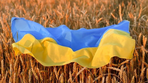 З Україною в серці