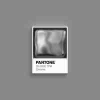 Grey songs