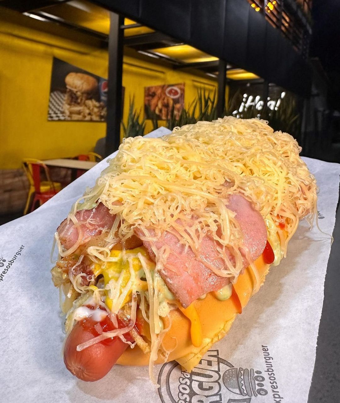 Perro Especial