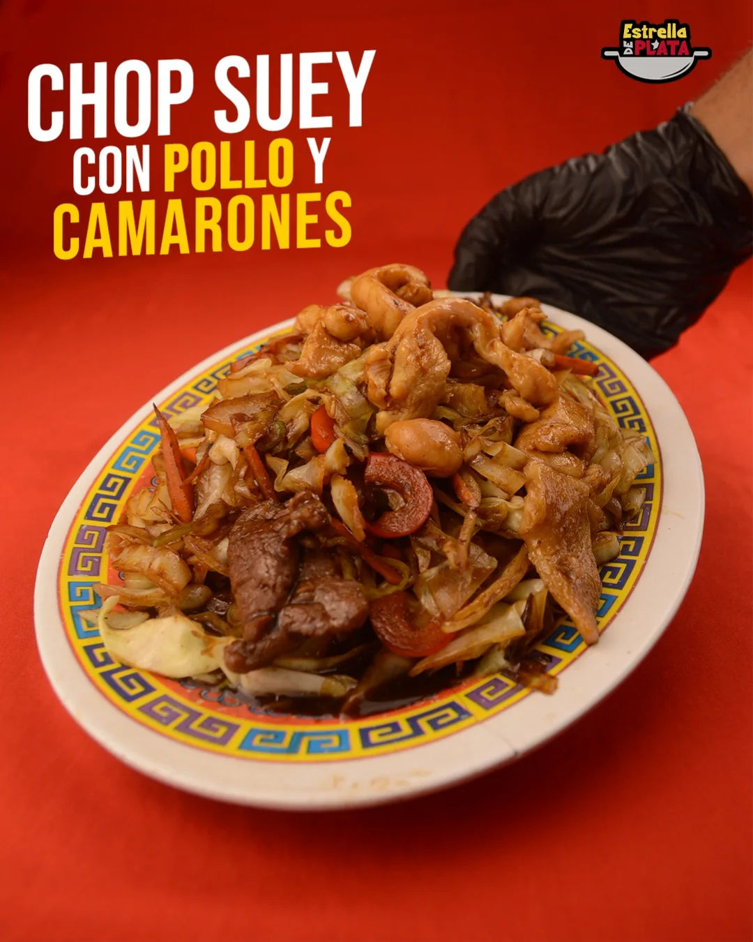 Chop Suey Pollo y Camarón