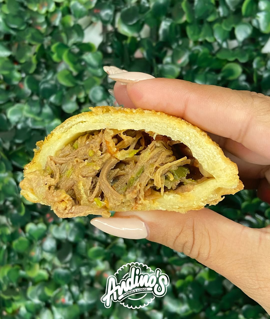Carne mechada