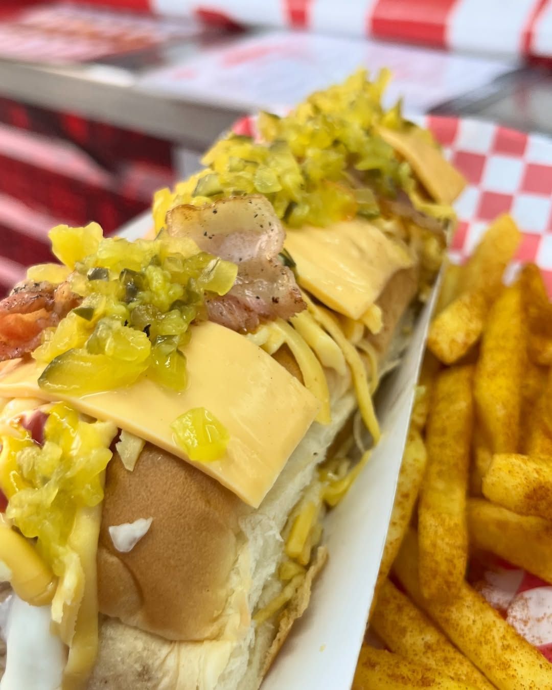 Ruta dog