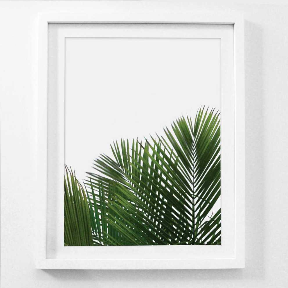 Palm Leaf Wall Art Palm Frond Art Framed Botanical Prints Pertaining To Most Current Palm Leaf Wall Art (Gallery 1 of 20)