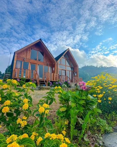 galeri Shiva Cabin Dieng 2 0