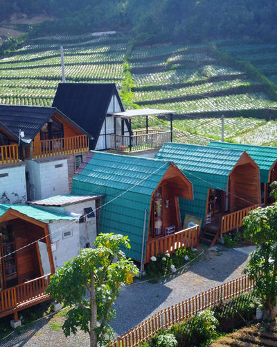 galeri Cabin Ira Dieng 4