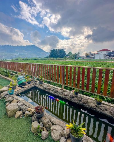 galeri Kabin 3 Bed dekat  0 Km Dieng ~ QZEE CABIN 2