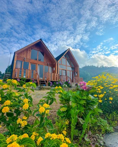 galeri Shiva Cabin Dieng 1 0