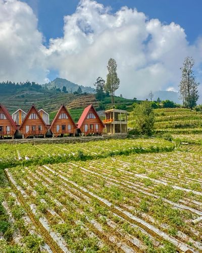 galeri Villa Dieng dualima 4