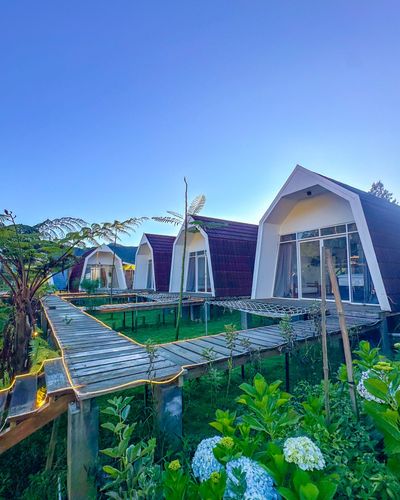 galeri Glamping Diengcool 1