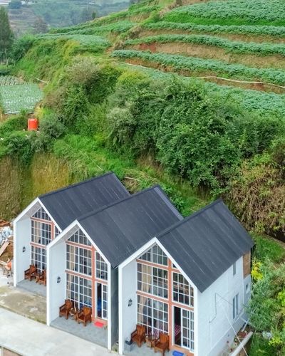 galeri Ana White Cabin Dieng 3