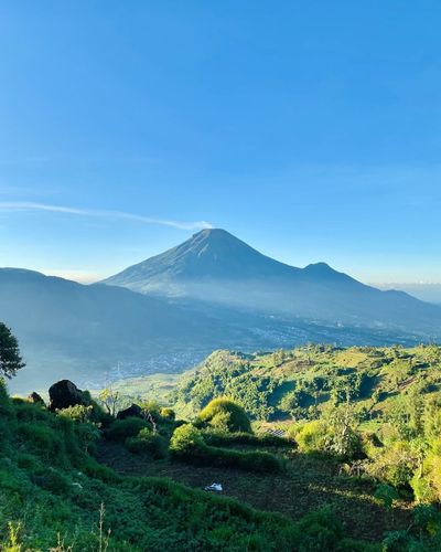 galeri Dokumentasi untuk lebih 10 orang 1