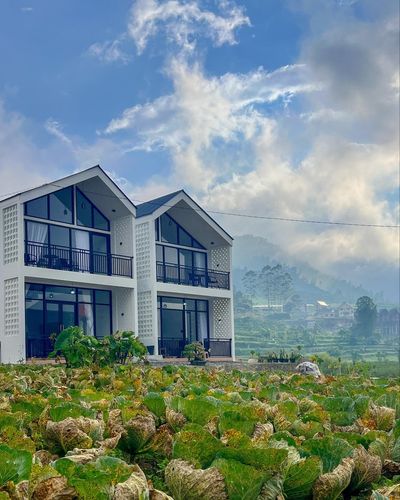 galeri Ea Cottage Dieng 0