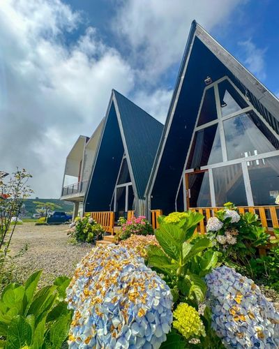 galeri Ami Cabin Dieng 0