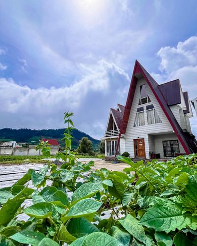 galeri Cabin house Segitiga Heri B 0