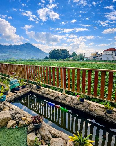 galeri Kabin 3 Bed dekat  0 Km Dieng ~ QZEE CABIN 2