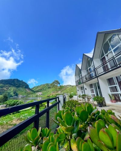 galeri Villa view Telaga David Sikunir 0