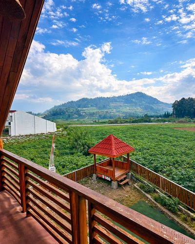 galeri Kabin 3 Bed dekat  0 Km Dieng ~ QZEE CABIN 5