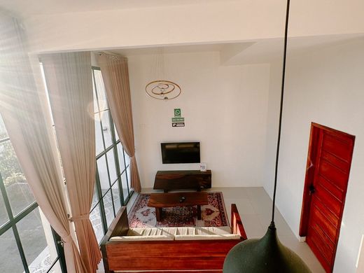 Villa Dieng 3 kamar View Bagus Bambang N 6