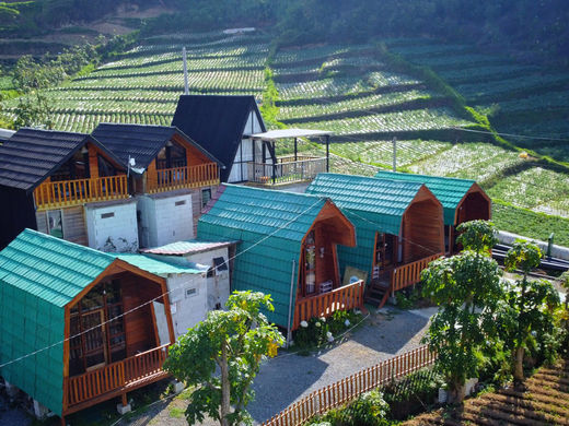 Cabin Ira Dieng 5
