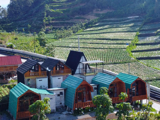 Cabin Ira Dieng 1