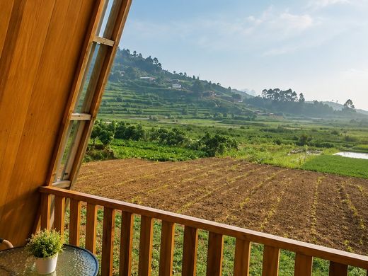 Oemar Cabin Dieng 4