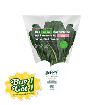 Jual Beleaf Nero Kale Hidroponik | Sayurbox