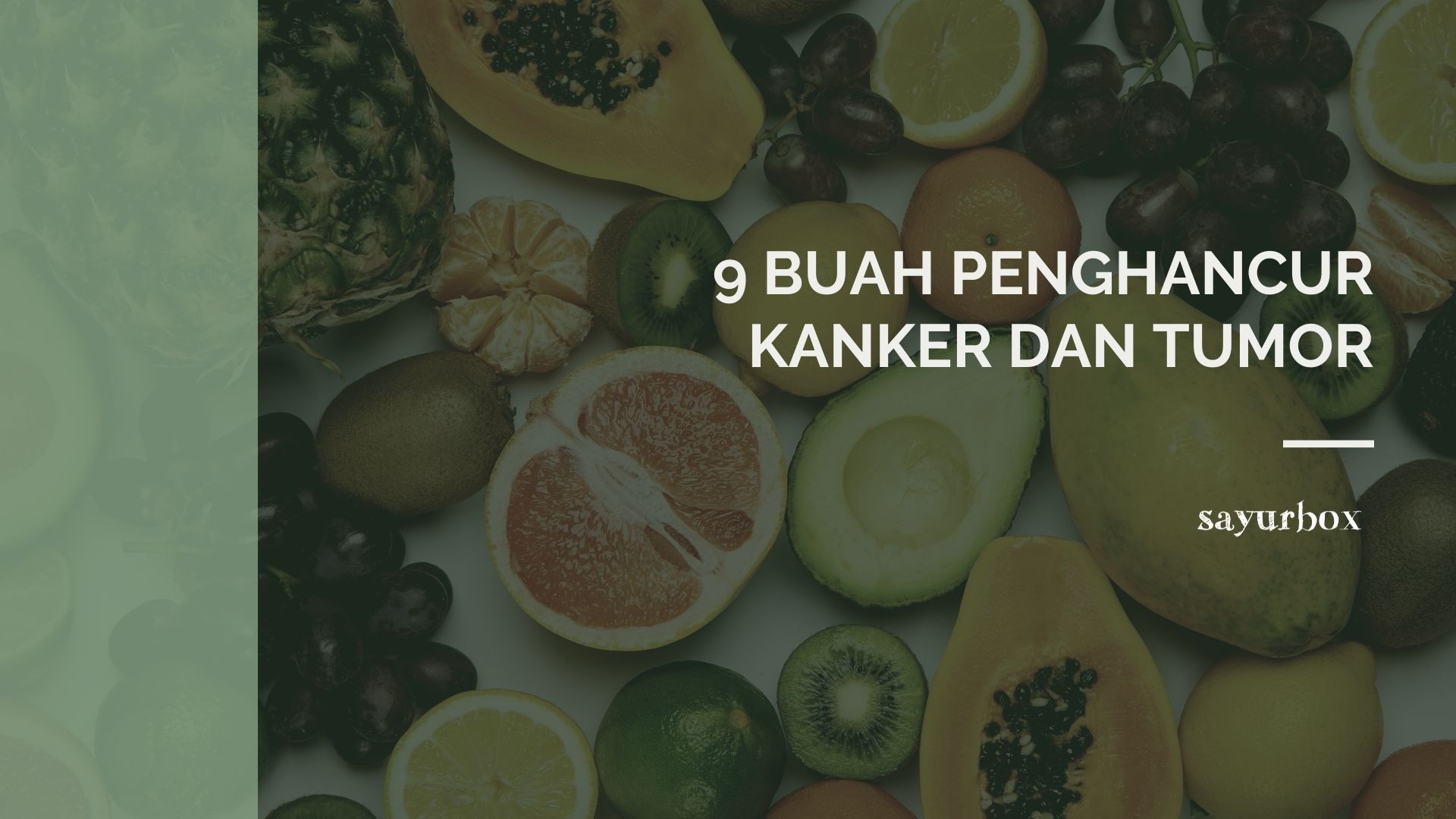 Buah-Buahan untuk Mencegah Kanker: Antioksidan yang Melawan Penyakit