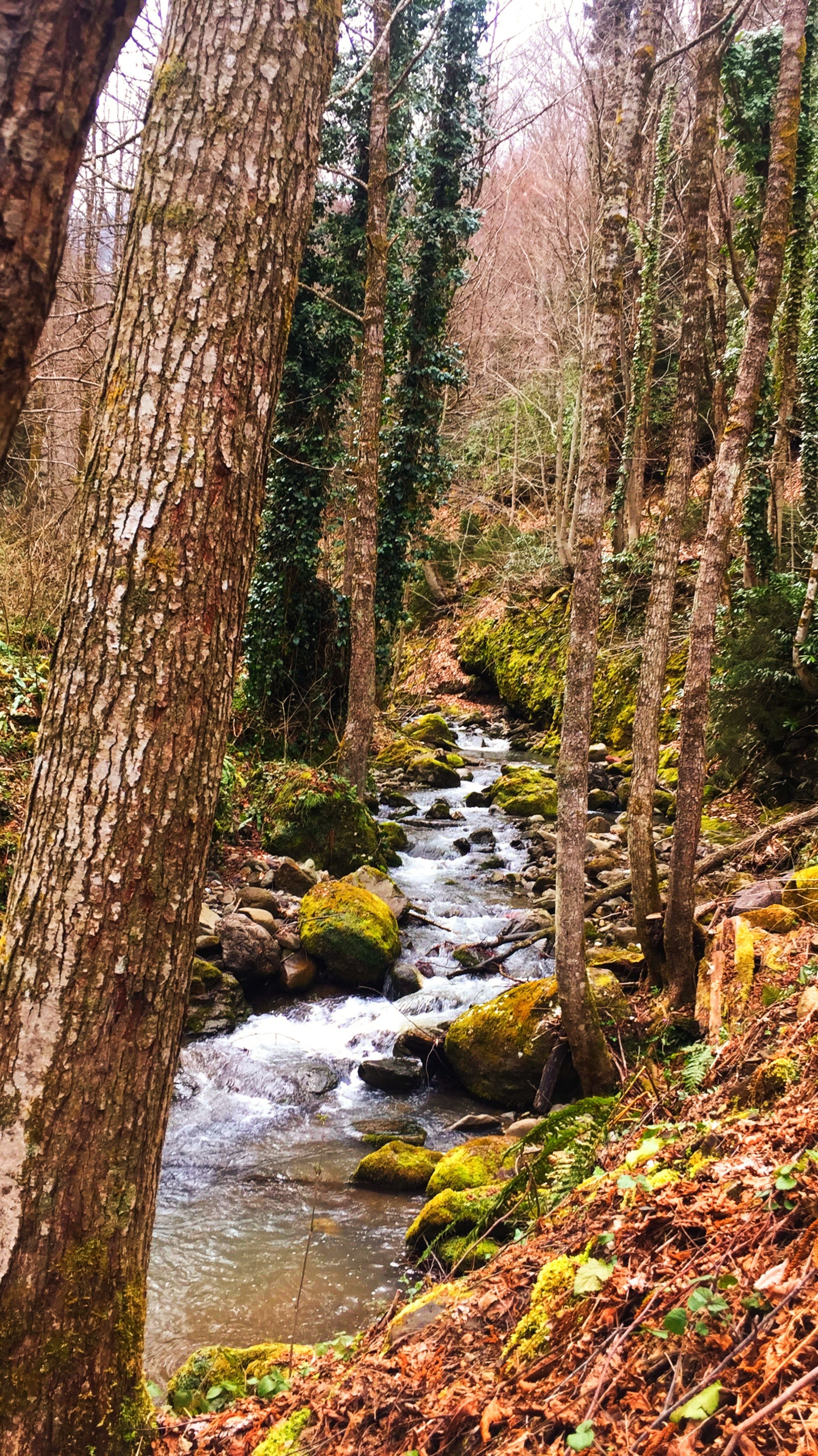 the river inside valle camerate valley, near agriturismo