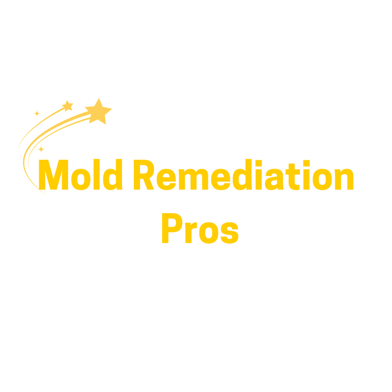 USA Mold Remediation