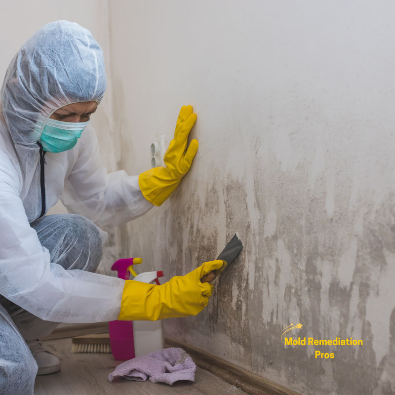 Mold Removal in Stockbridge, VT