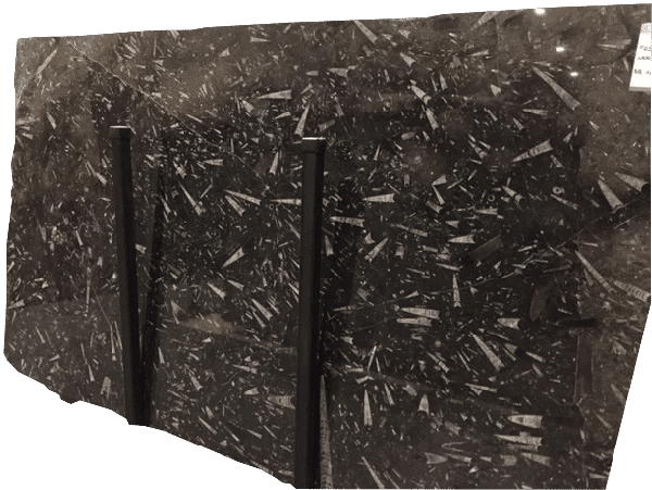 2-3cm Fossil Black Marble slabs