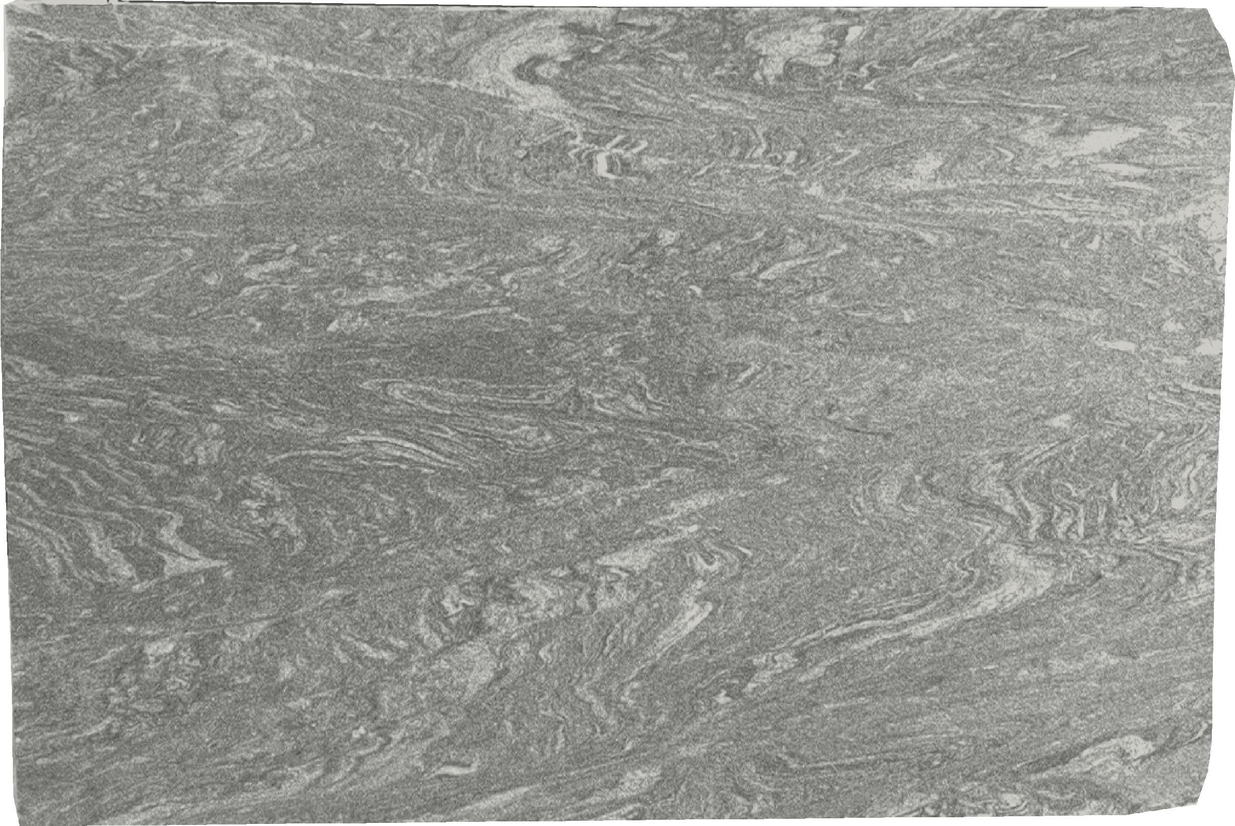 Marina Grey Granite Slabs for Wall Cladding - Ed-01