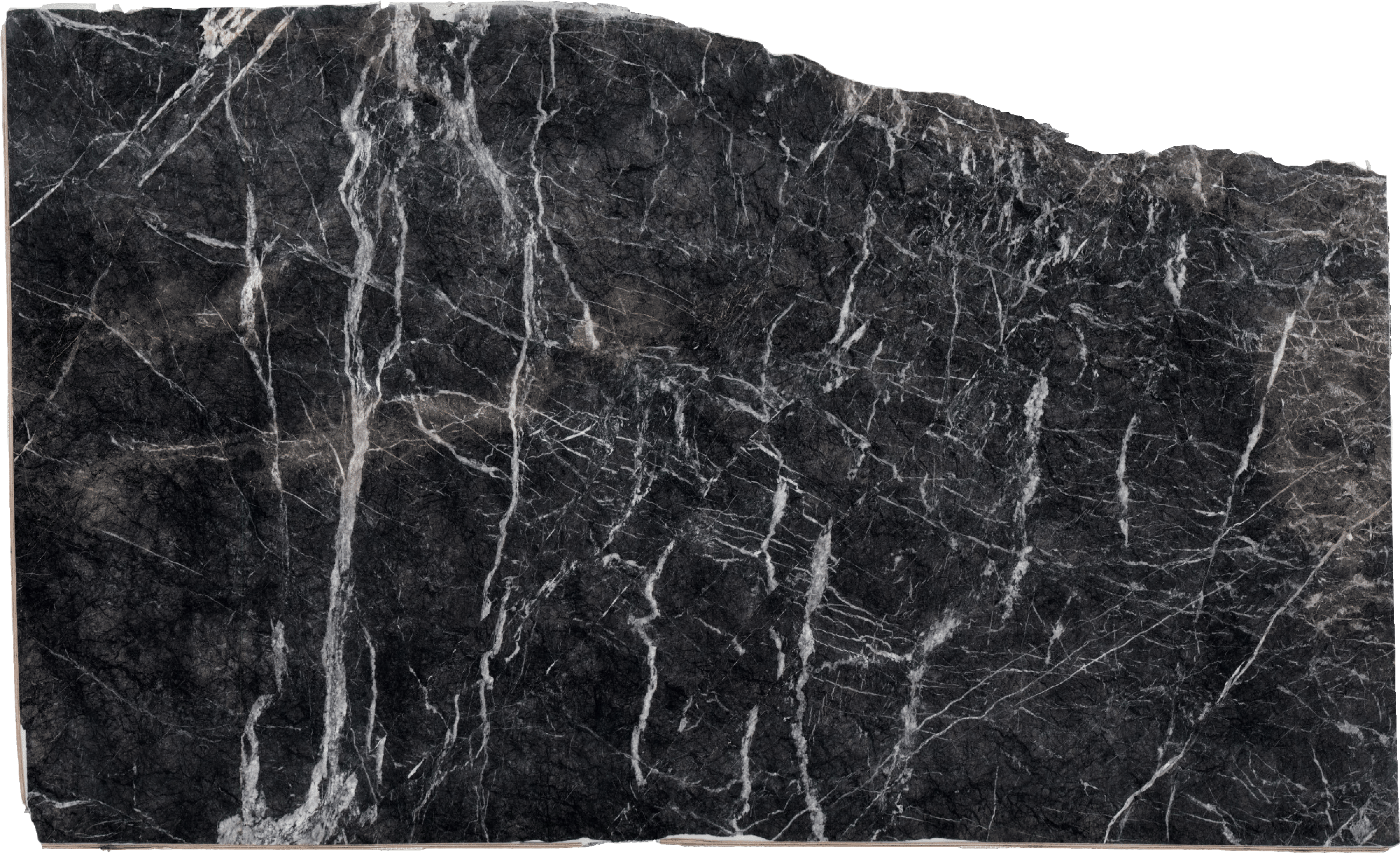 Grigio Carnico Marble Slabs for Countertops Grey - 1667