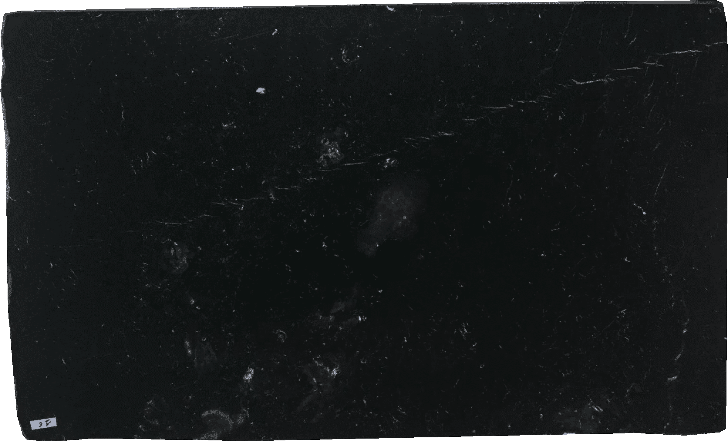 Premium Nero Marquina Marble Slabs Black - 3172 - DDL