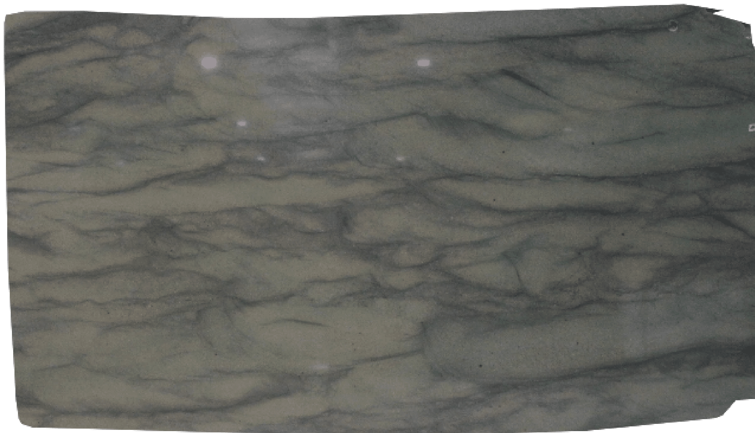 Granite Slabs for Flooring Green - Wild West Green