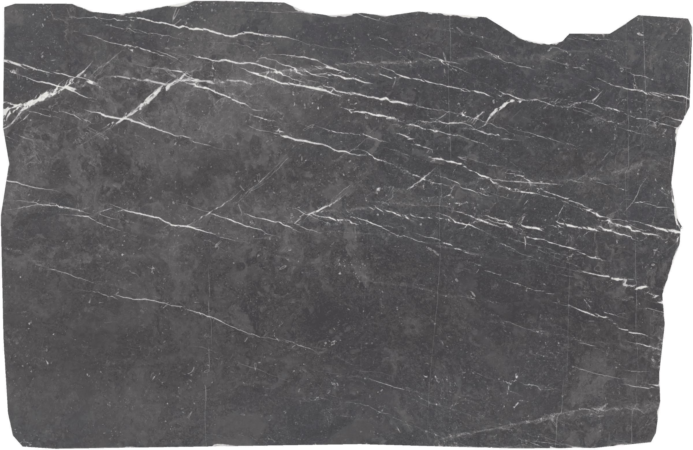 High Quality Pietra Grey Marble Slabs - 1634 - DDL