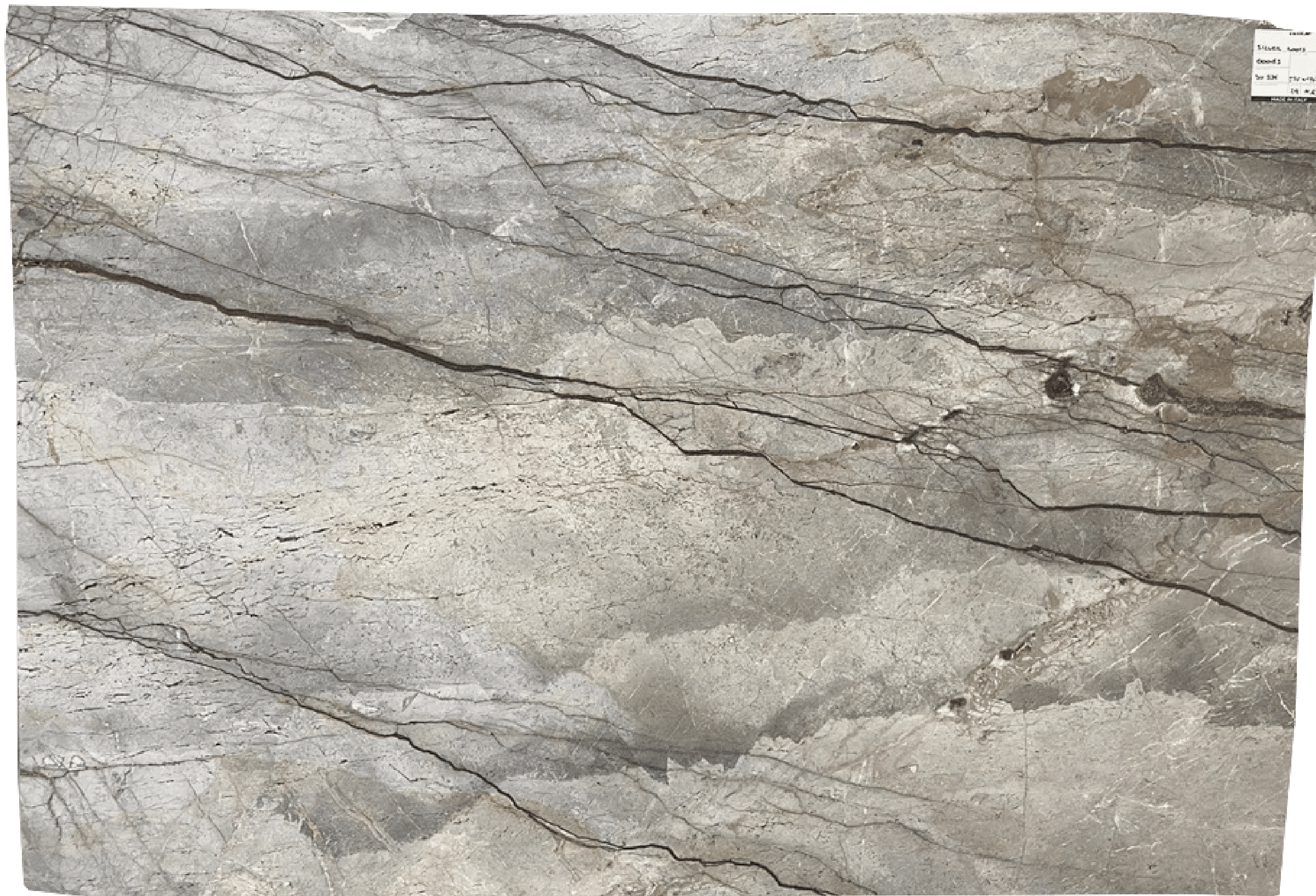 High Quality Marble Slabs Grey - Silver Roots Extra